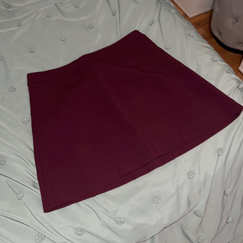 EXPRESS Mini Skirt with Zipper, NWOT